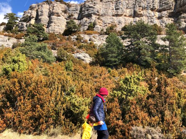 Ruta al Mirador de la Cruz del Codó, en el Solsonès