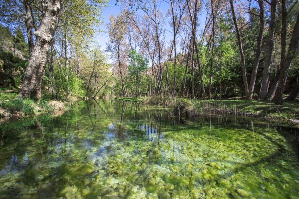 Camí fluvial del riu Sénia, una ruta per fer en família | Foto: Turisme de la Sénia