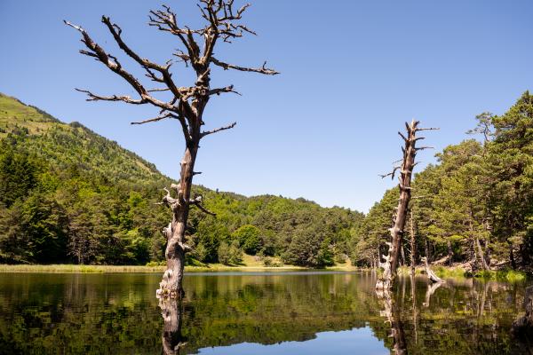 La Bassa d'Oles, en Gausac