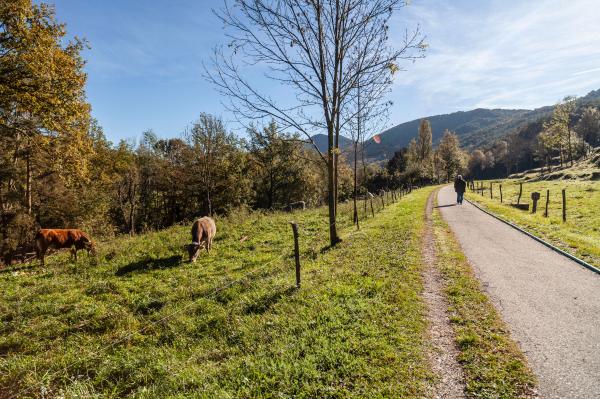 Ruta del Ferro i del Carbó Con niños