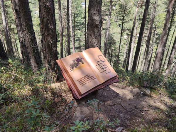 Una excursió amb berenador, a prop d’un dels tamarros d’Andorra | visitandorra.com