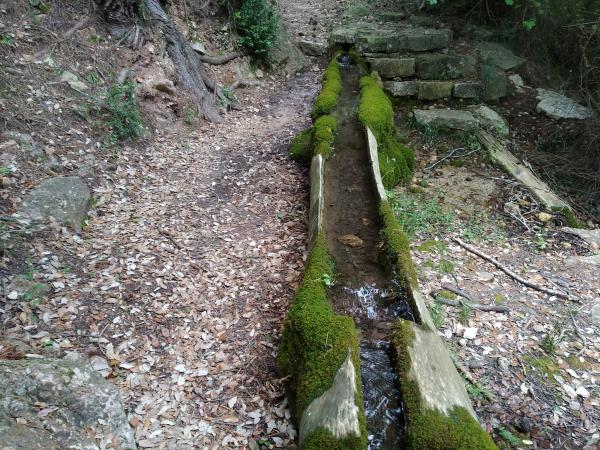 Excursión a la Font del Teix | Excursión a la Font del Teix de Paüls. Fotos: @rutes_montsia | Excursión a la Font del Teix de Paüls. Fotos: @rutes_montsia | Excursión a la Font del Teix de Paüls. Fotos: @rutes_montsia