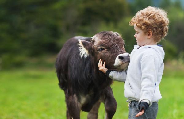 Las 5 mejores actividades para hacer con niños en la Garrotxa