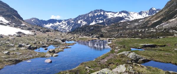 Els Estanys de Tristaina, a l’estiu | visitandorra.com