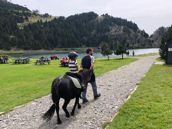 Passeig en poni per la Vall de Núria