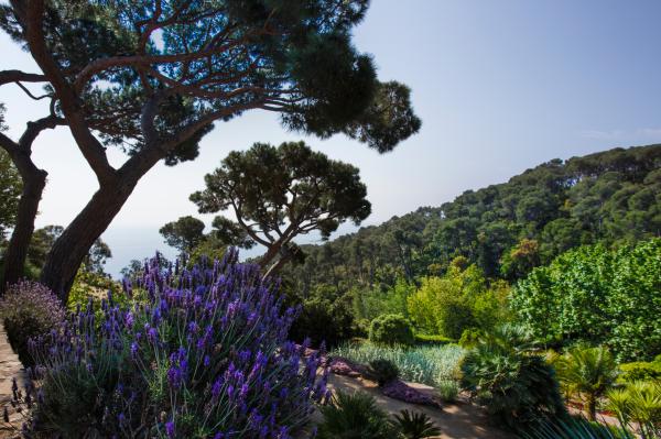 Jardines de Cap Roig