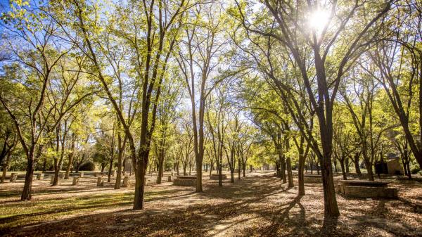 Parque de la Aubadera | Parque de l'Aubadera. Foto: MORADEBRETURISME