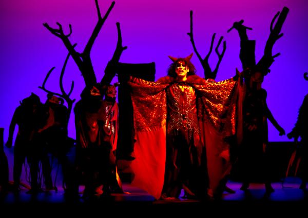 Els Pastorets de Sabadell 2025