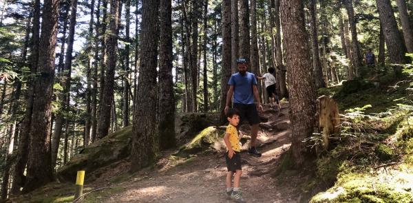 Un paseo por el Bosque de Gerdar, uno de los bosques con más abetos de Europa, en Alt d'Àneu