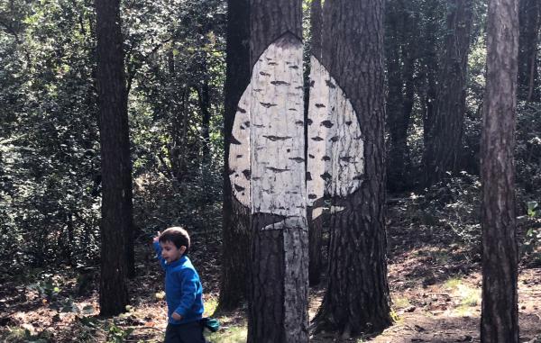 10 excursiones fáciles y espectaculares para realizar con niños en Tarragona