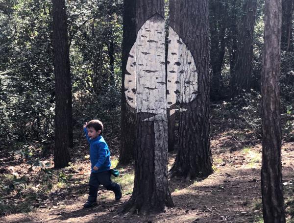 Bosc Pintat | Bosc Pintat de Poblet. Foto: ESCAPADA AMB NENS