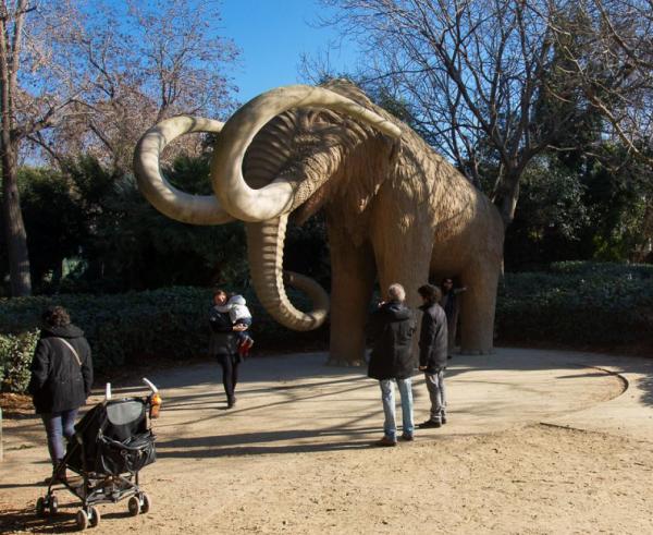Planes gratis Barcelona