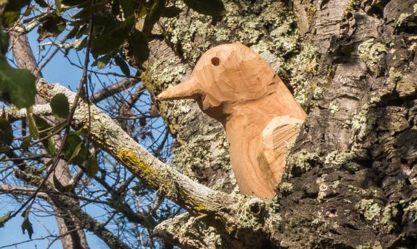 La Ruta medioambiental en el Valle de Fuirosos