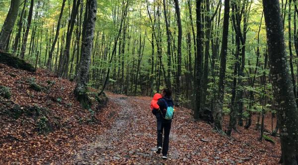 Les roques encantades de Sant Feliu de Pallerols