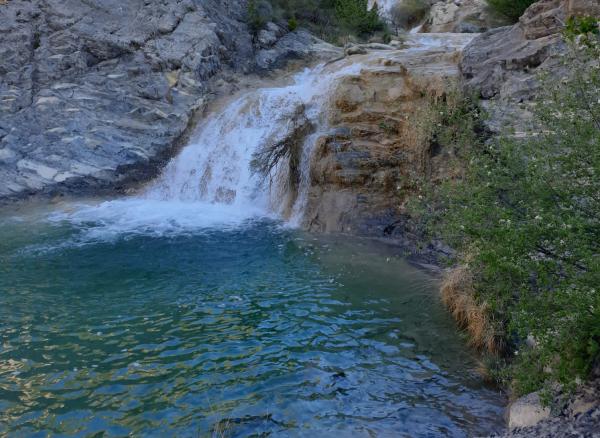 Àrea recretiva de la Font de Bordonera, a Organyà | organya.cat