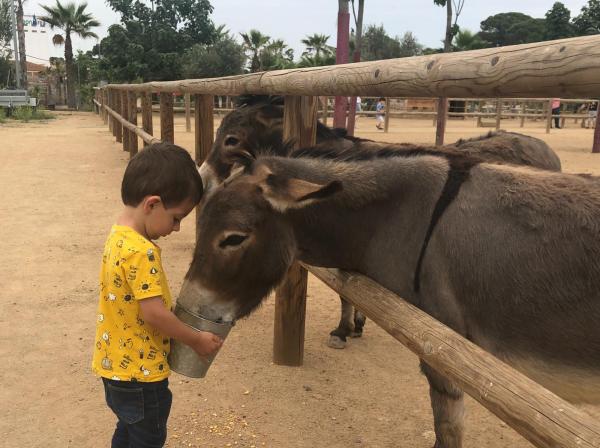 10 aventuras con animales para visitar en familia