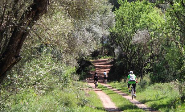 Camí de Sirga amb nens