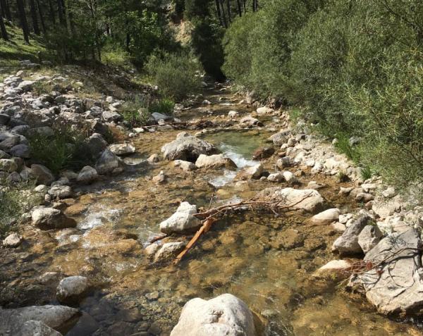 L’arborètum i l’àrea de lleure Planells de Sastró | Pitcollonsiamunt - wikiloc | Pitcollonsiamunt - wikiloc