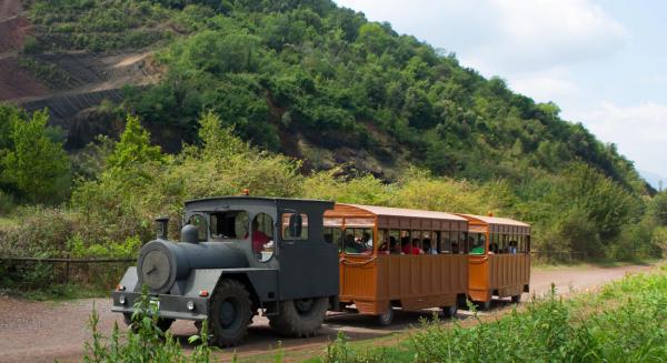 En tren por los volcanes | activitatsgarrotxa.com