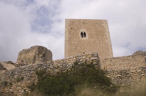 Castell d'Ulldecona amb nens