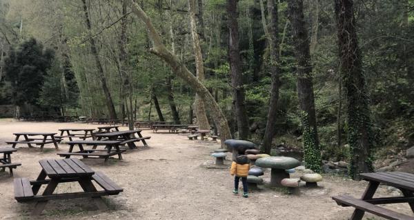 Cinco áreas de picnic espectaculares para pasar el dia