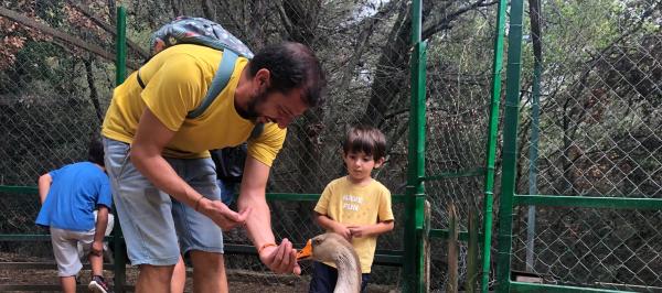Com arribar al Carrilet de Vilamanya