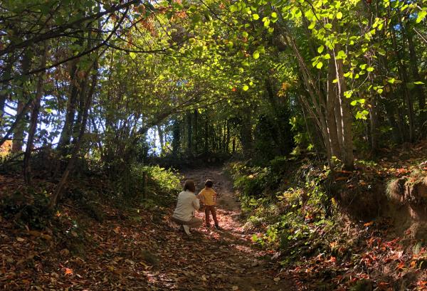 Ruta de la Font de la Formiga Con niños