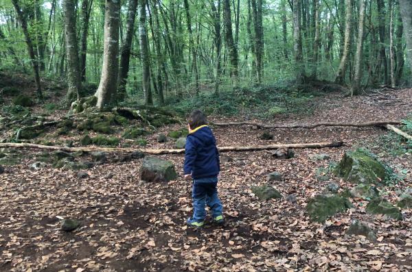 La Fageda d'en Jordà: Un passeig màgic per fer en família