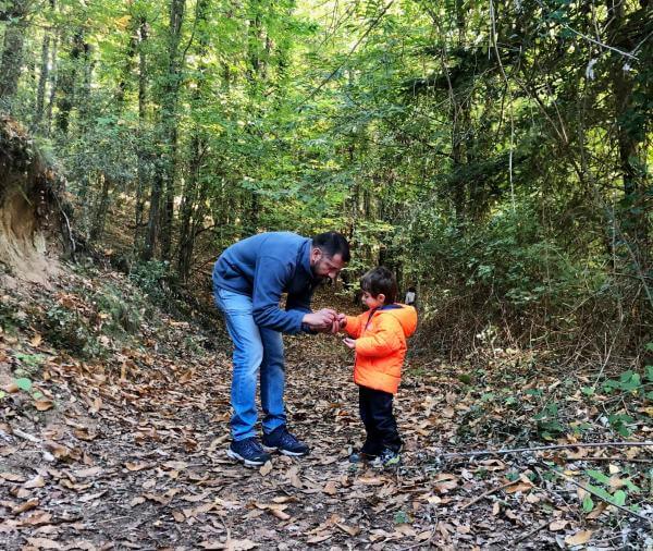 3 secrets que amaga el bosc a la tardor i que podem descobrir en família