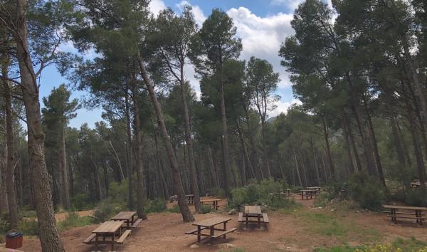 Zona de ocio forestal Montmell Con niños