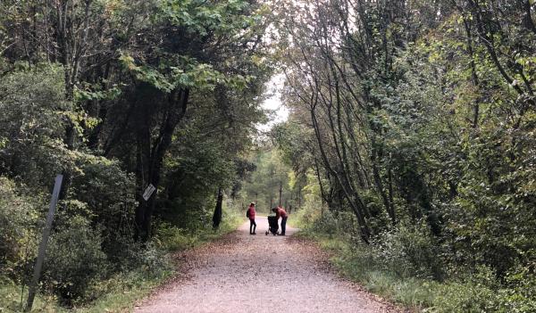 La Via Verda del Llobregat, a Cercs