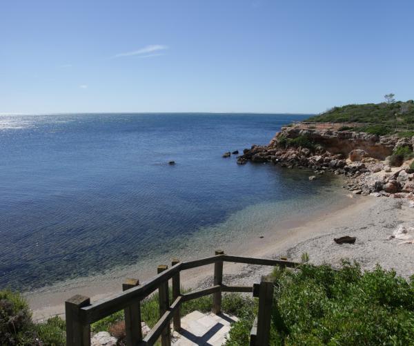 Área de picnic Punta de la Buena Con niños