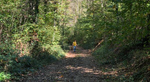 Ruta de la Font de la Formiga