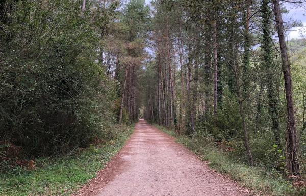 La Via Verda del Llobregat a Cercs, una passeig familiar amb túnels i ponts