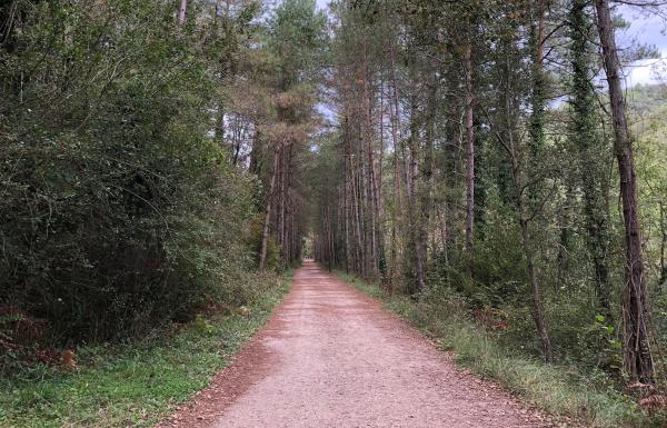 La Vía Verde del Llobregat, desde Cercs