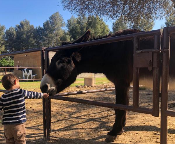 Granja Escola Corral de Neri amb nens