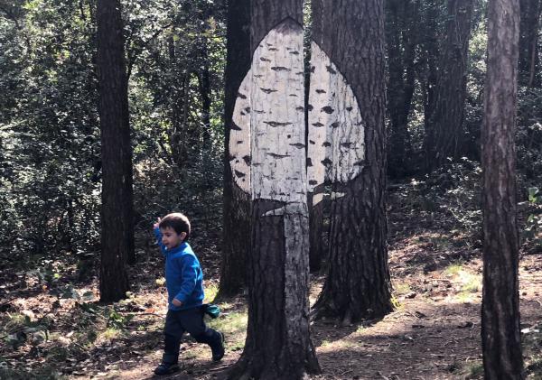 Excursiones llenas de colores en el Paraje Natural de Poblet